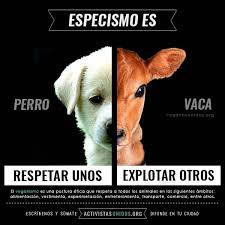 Find Best Prices For Food Supplies Vegan Animals Vegan Humor Vegan Quotes