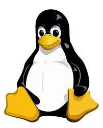 Understanding Linux