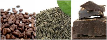 Image result for Coffea salvatrix