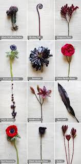Flower Guide Blackred2 Black Wedding Flowers Red Wedding Flowers Flower Guide