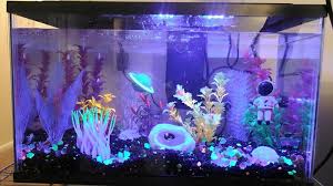 You have seen a couple of aquariums in pet stores, well decorated with pebbles, plastic plants and a host of them. 5 Cool Fish Tank Themes That Will Inspire You Bechewy