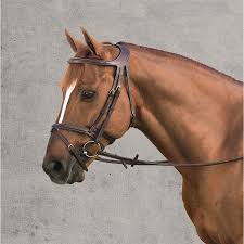Dyon Difference Bridle Dover Saddlery