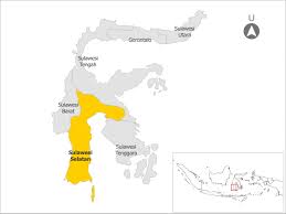 6 tahun kota palopo adalah salah satu kota di provinsi sulawesi selatan, indonesia. Profil Perumahan Dan Kawasan Permukiman Sulawesi Selatan Perkim Id