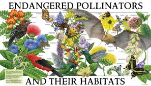 We did not find results for: Poster 2019 Pollinator Org