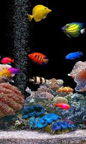 Download Aquarium Wallpapers To Your Cell Phone Aquarium Fish 15417136 Ikan Eksotis Akuarium Air Asin Ikan Tropis