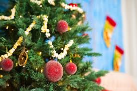 Micah comes over to help! How To Care For Your Live Christmas Tree Aumann S Garden Supplies
