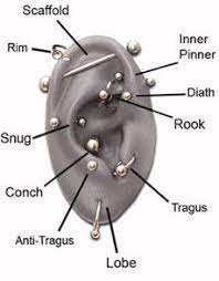 An Introduction To Men S Earrings Attire Club By F F Ear Piercing Diagram Types Of Ear Piercings Ear Piercings
