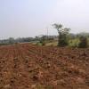 Check 'tanah merah' translations into english. 1