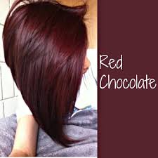 Are you dying to find a deep hair color that has it all? Underneath Color Hair Color Chocolate Hair Styles Burgundy Hair