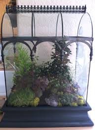 Picture Of H Potter Barrel Vault Terrarium From A Happy Customer Beautiful Terrariums Wardian Case Terrarium