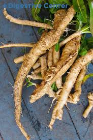 Digestive Center Chicory Coffee Chicory Chicory Root