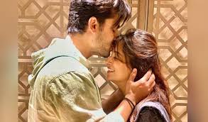 Actor dipika kakar and shoaib ibrahim recently took to their instagram stories and requested fans to pray for the latter's father as he had suffered a brain stroke and had been admitted to the intensive care unit. Fan Asks Shoaib Ibrahim Personal Question About When He And Dipika Kakar Are Planning For A Baby Gets Sassy Reply Hindustan Times