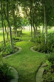 Bunny Guinness Landscape Design Landscape Design Grasses Landscaping Beautiful Gardens