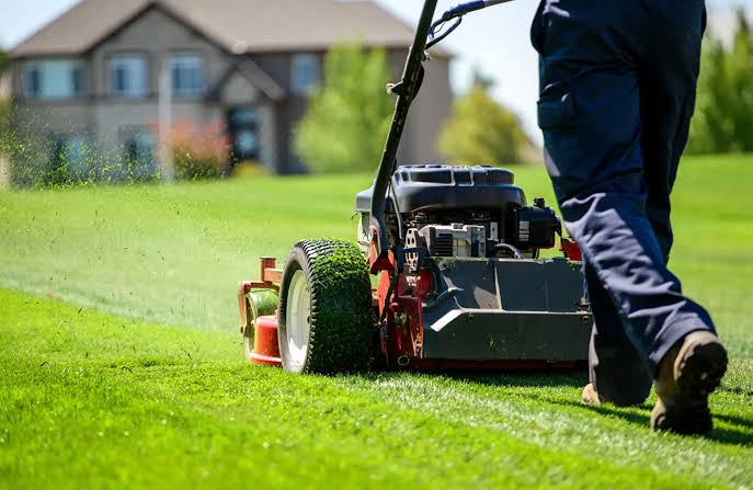 Lawn Maintenance
