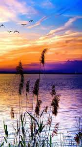 Unique Beautiful 3d Nature Wallpaper Download Free Beautiful Scenery Photography Scenery Photography Nature Pictures
