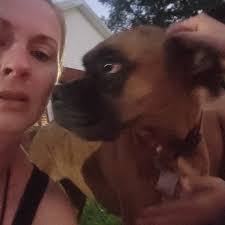 Beagle diagnosed with stage 3 lymphoma, given 3-4 months