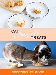 In our store we carry a wide range of dog and cat food and supplies, and gifts for pets and people. Cat Birthday Cake With Tuna Chicken And Sweet Potato
