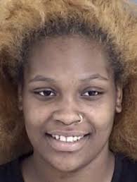 POLICE REPORTS: Police arrest woman