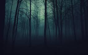 Dark Scary Forest Background Images Pictures Becuo Forest Wallpaper Dark Wood Background Scary Backgrounds