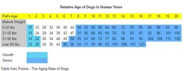 is it true that dogs age 7 years for every one human year