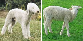 Pin On Look Alikes