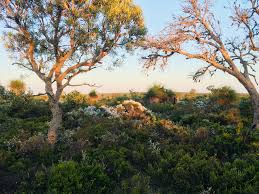 Pin On Overnight Hikes