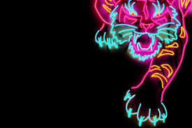 187 neon hd wallpapers and background images. Tiger Neon 1920x1281 Wallpaper Teahub Io