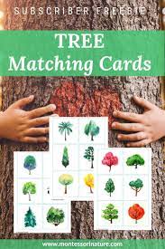 Free Montessori Inspired Printables Matching Cards Free Educational Printables Educational Printables