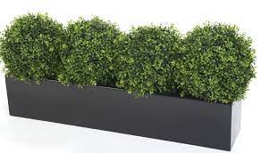 Artificial boxwood and pansy window box. Window Box With Artificial Box Plants