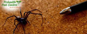 It's always best to let pest management professionals handle any insecticides, but if you are going to try to figure out how to get rid of spiders on your own, do it safely. How To Get Rid Of Spiders In Your Office Building Prohealth Pest Control