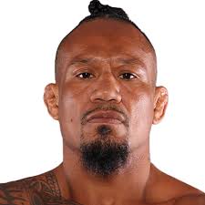 ELVIN BRITO's Fighter Profile