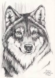 Share the best gifs now >>>. 33 Anime Wolf Zeichnen Besten Bilder Von Ausmalbilder