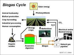 biogas overview biofuels academy