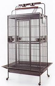 Bird Cage Seed Guard New Large Wrought Iron Bird Parrot Cage Double Ladders Open Close Play Top Include Seed Guard And Play Top Black Ham Parrot Cage Large Bird Cages Conure Cage