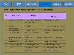 Akan tetapi, mereka memiliki tahapan proses yang berbeda. 4 Ppt Download