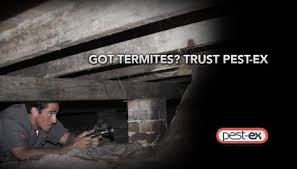 We are environmentally safe and responsible using epa approved methods, and, promise our customers that we won't stop until the job is done. 23 Termite Barrier Gold Coast Ideas Termites Pest Management Termite Treatment