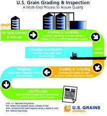 Grading And Inspection U S Grains Council