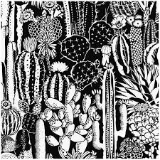 Black And White Cactus Wallpaper Cactus Spirit Type Ii Eco Friendly Wallpaper In Contrast Black And White Black White Cactus Drawing Wallpaper