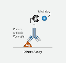 Elisa is a scientist in the offshore, often traveling back to the inland to help people update their registrations. Overview Of Elisa Types Of Elisas Cell Signaling Technology