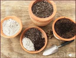 • 2 gallons 50/50 mix worm castings & perlite Best Succulent Soil What Your Succulent Needs The Succulent Eclectic Best Succulent Soil Succulent Potting Mix Succulent Soil