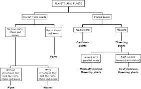 Check spelling or type a new query. Biology Documents Plant Lessons Personalized Learning Plan Plants Worksheets
