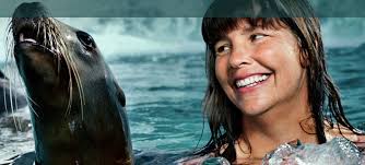 Sighting Lynne Cox's Site