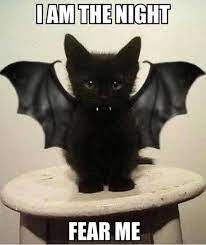 The 50 Funniest Halloween Memes Of All Time Funny Halloween Memes Pet Costumes Diy Pet Costumes