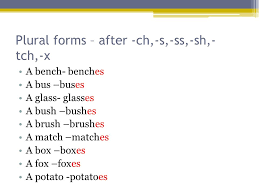 Nouns Proper Nouns Common Nouns Countable And Uncountable Inanimate Nouns Singular And Plural Forms Of Nouns Ppt Download