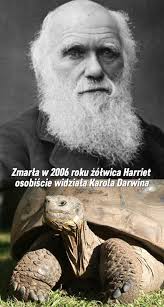 Who seen (in-person) or done evolutionary research?