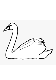 Birds coloring pages serve as fun activities on a weekend or as coloring practice sessions at school. Coloring Pages Swan Bird Coloring Pages For Kids