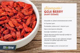 Supergida Goji Berry Kurt Uzumu Berry Saglik Protein