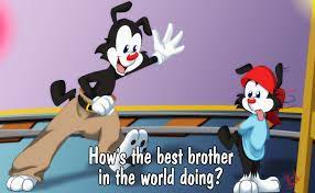 Pin On Animaniacs Looney Tunes