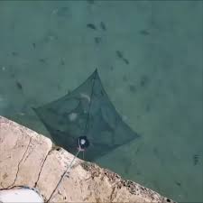 Brag Fishing Multi Magic Fishing Trap Catch More Fish Brag Fishing Video Video In 2020 Fishing Traps Fish Catching Fish