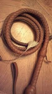 To guarantee the success of your whip making project we cut and taper the strands as we do with every whip, it comes complete with belly foundation. 14 Bullwhip Making Ideas Bull Whip Paracord Projects Paracord